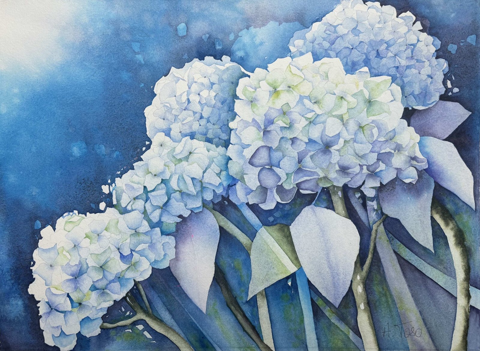 Adriana Toso-Schulze Summer Blues II