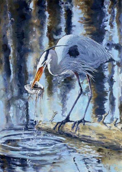 The Catch by Donna McGee