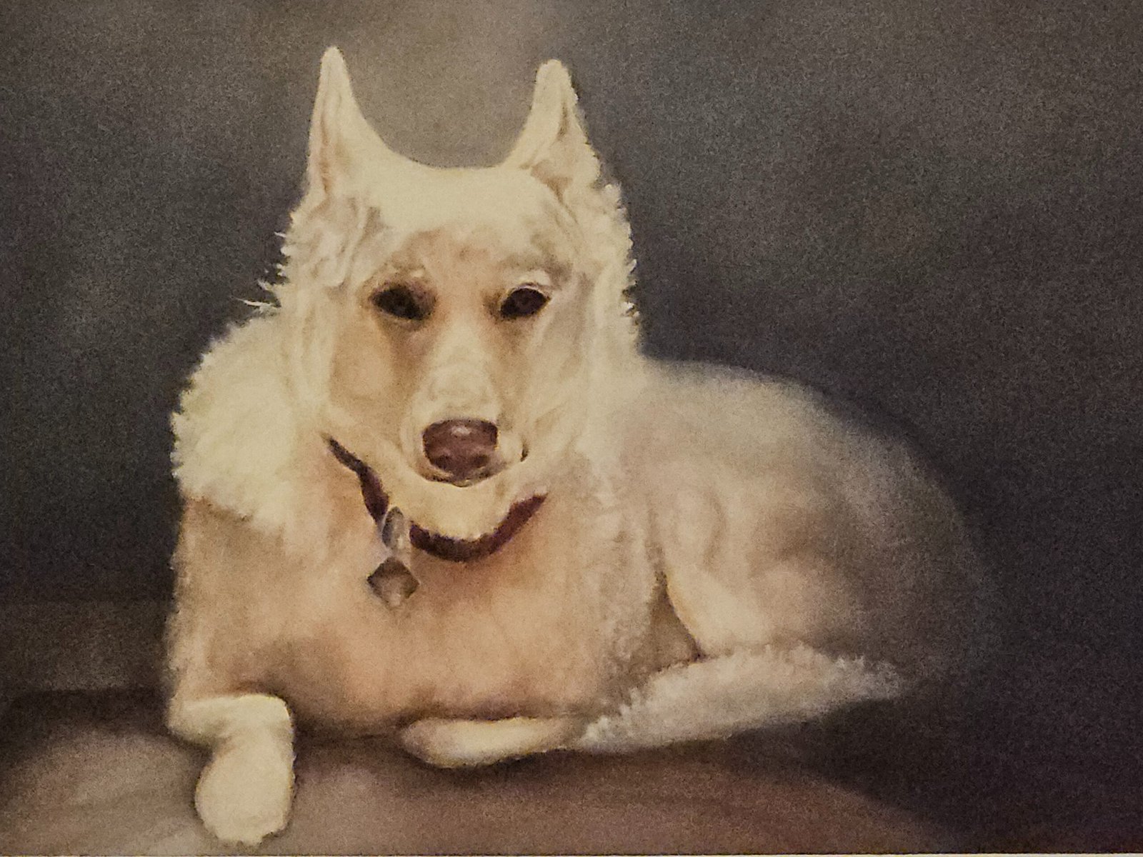 Merri A Chester Gentle Guardian